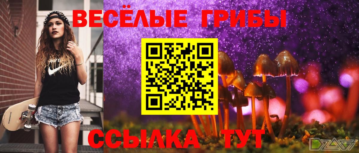 Иваново  Галлюциногенные грибы Psilocybine cubensis  Вход с VPN 